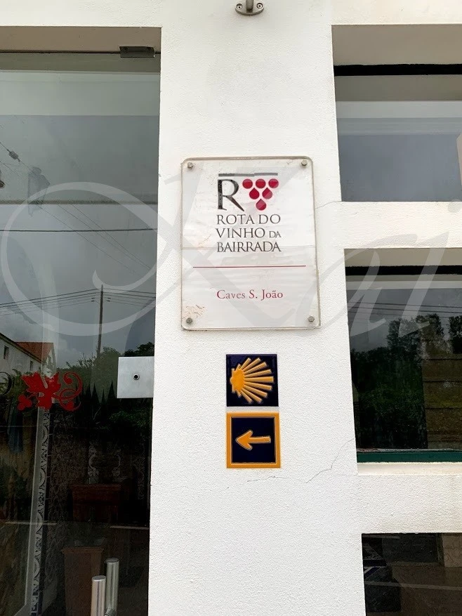 e_2fiUd018svc1wetopkqn6kfh_wocx9r.jpg?type=e1920_std