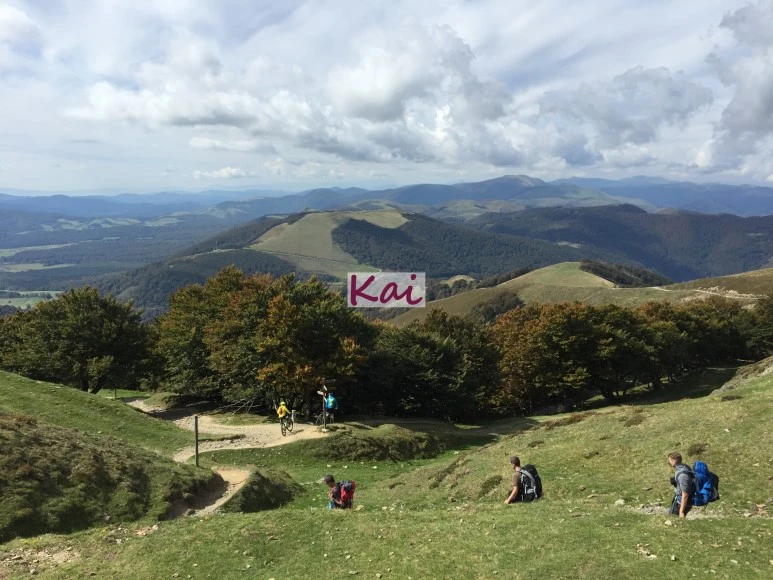 image_5290558421515607631932.jpg?type=w773