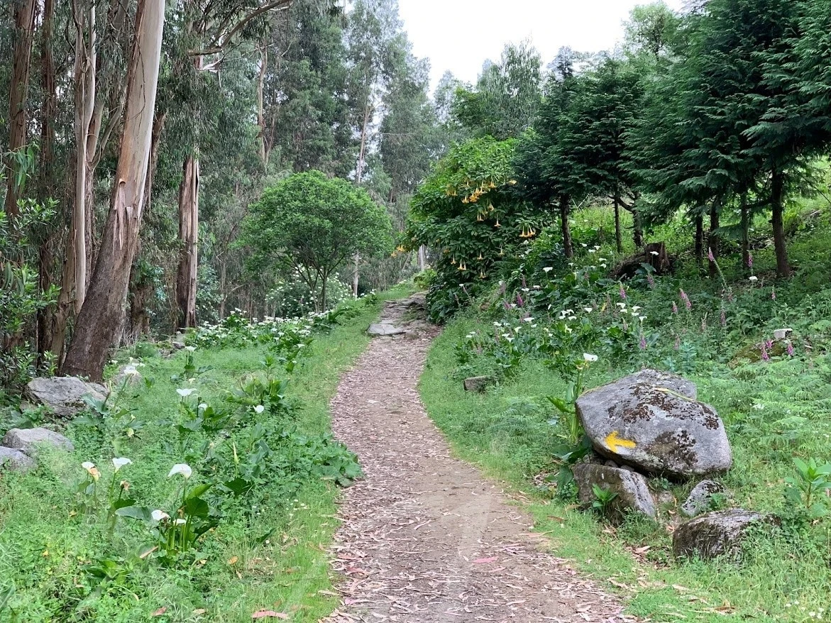 c_6daUd018svc1nw68ja6hpu5p_wocx9r.jpg?type=e1920_std