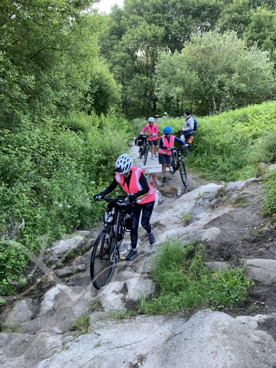 g_hd2Ud018svcbsijgvhv8dq3_wocx9r.png?type=e1920_std