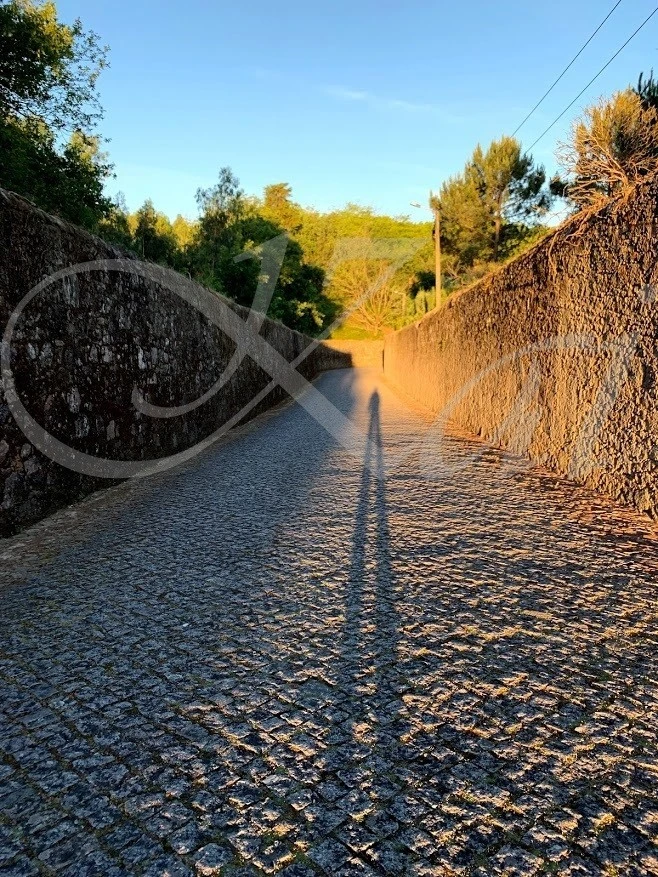 4_465Ud018svc93akepgax7zo_wocx9r.jpg?type=e1920_std