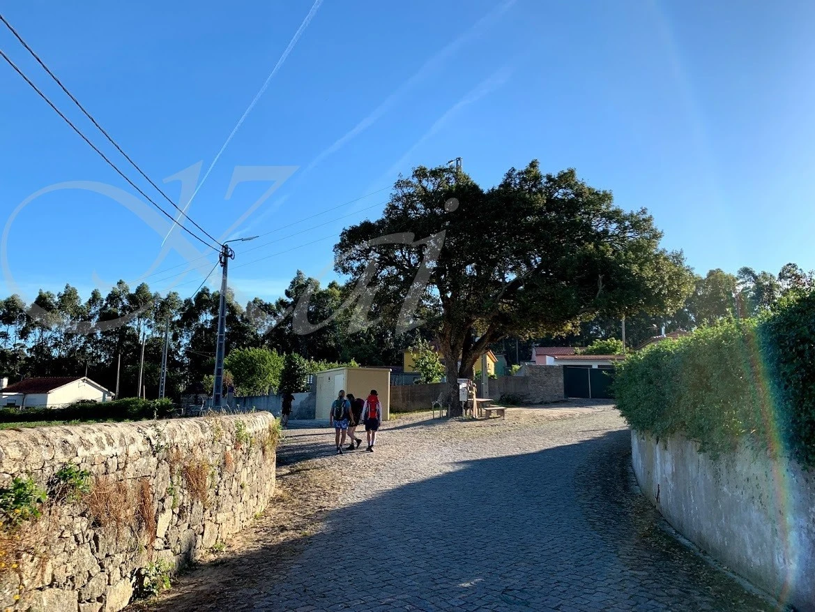 6_e65Ud018svczhg5bo6yxgtz_wocx9r.jpg?type=e1920_std