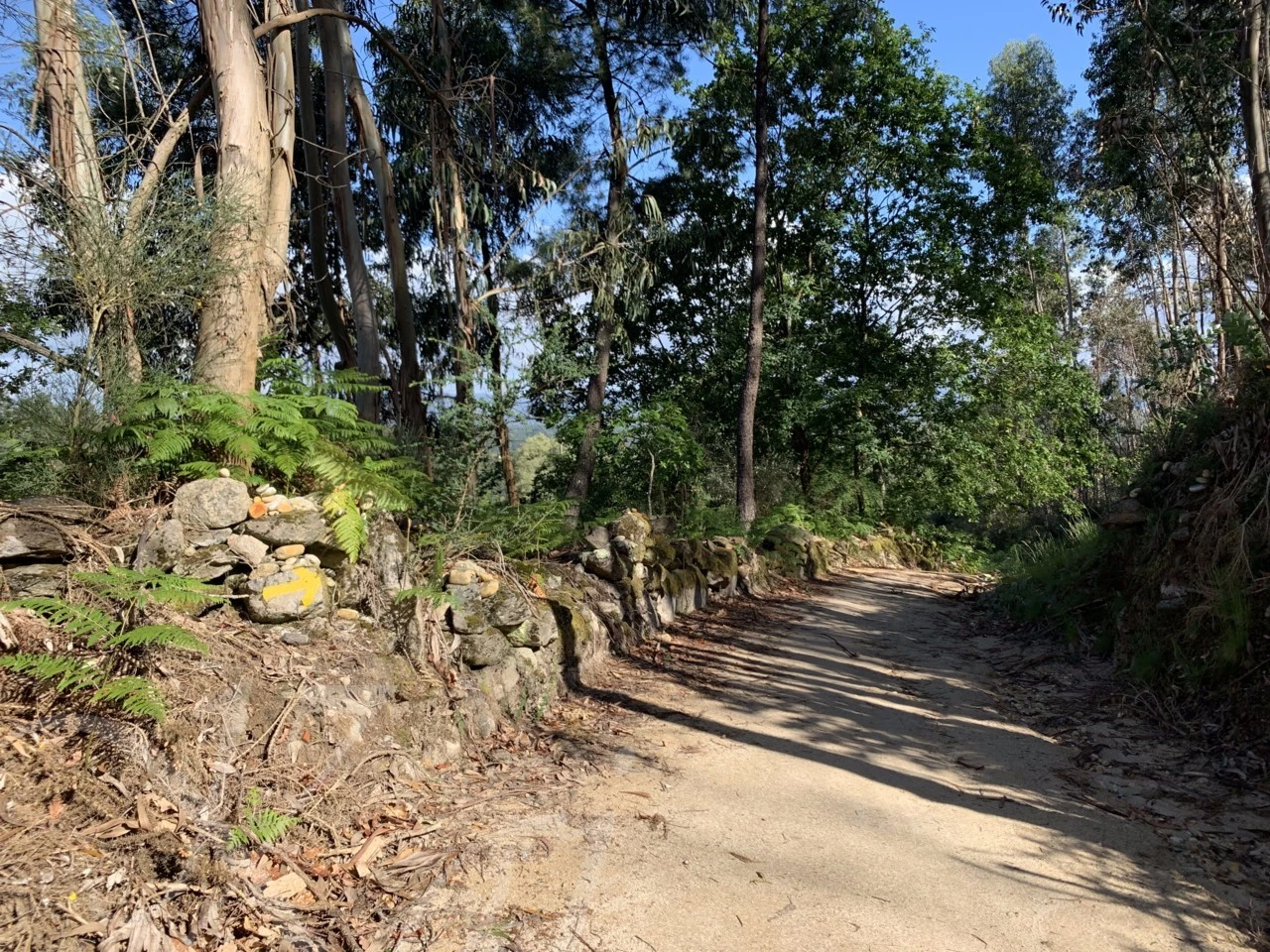 5_0eeUd018svc1mobtisewod9m_wocx9r.png?type=e1920_std