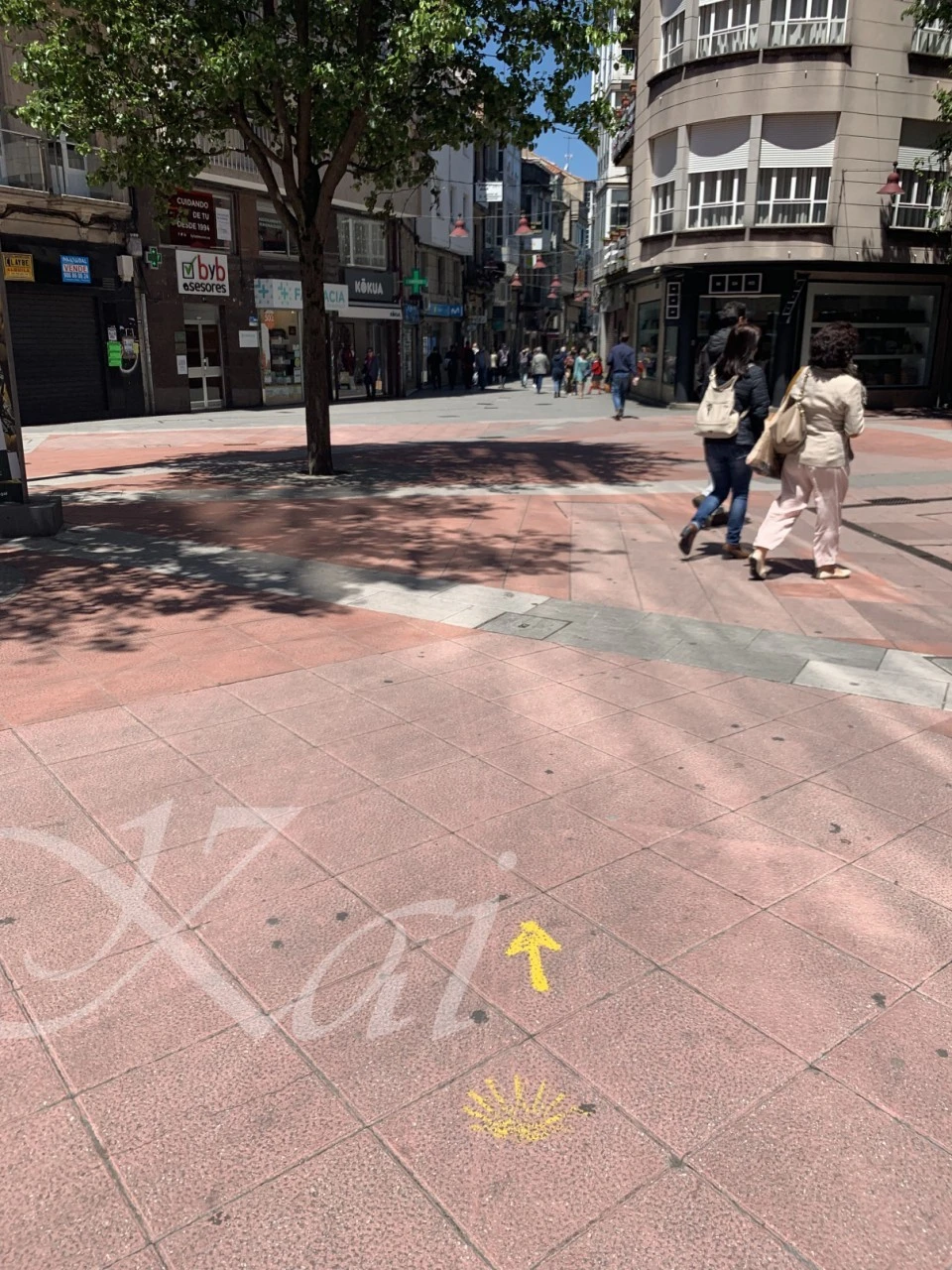 g_0d3Ud018svctjf36uq2cm6e_wocx9r.png?type=e1920_std