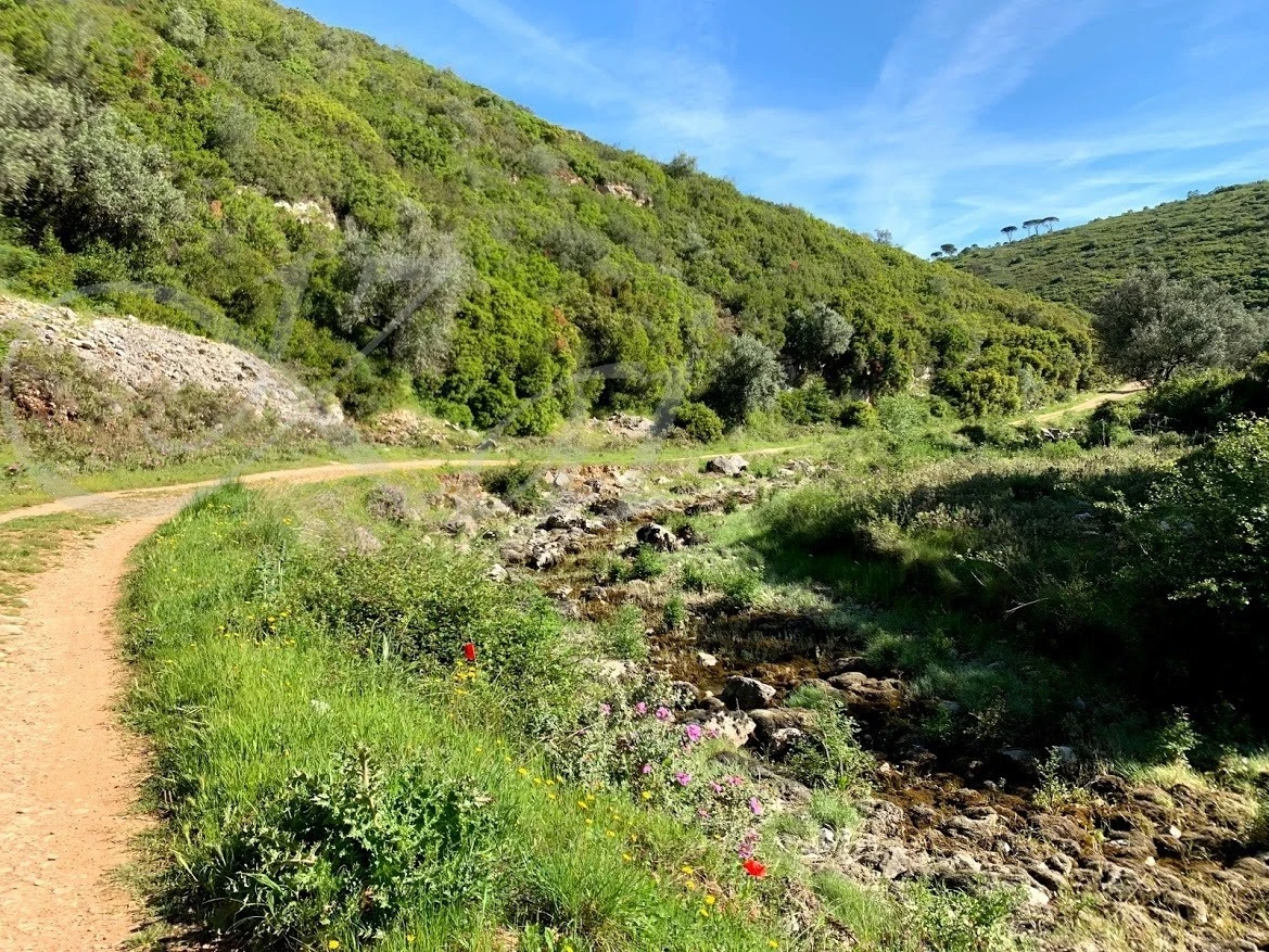 2_f4jUd018svc19zla4opa94pt_wocx9r.jpg?type=e1920_std