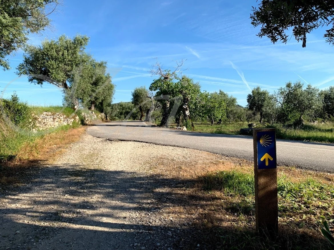 1_44jUd018svcb085oir3b8pv_wocx9r.jpg?type=e1920_std