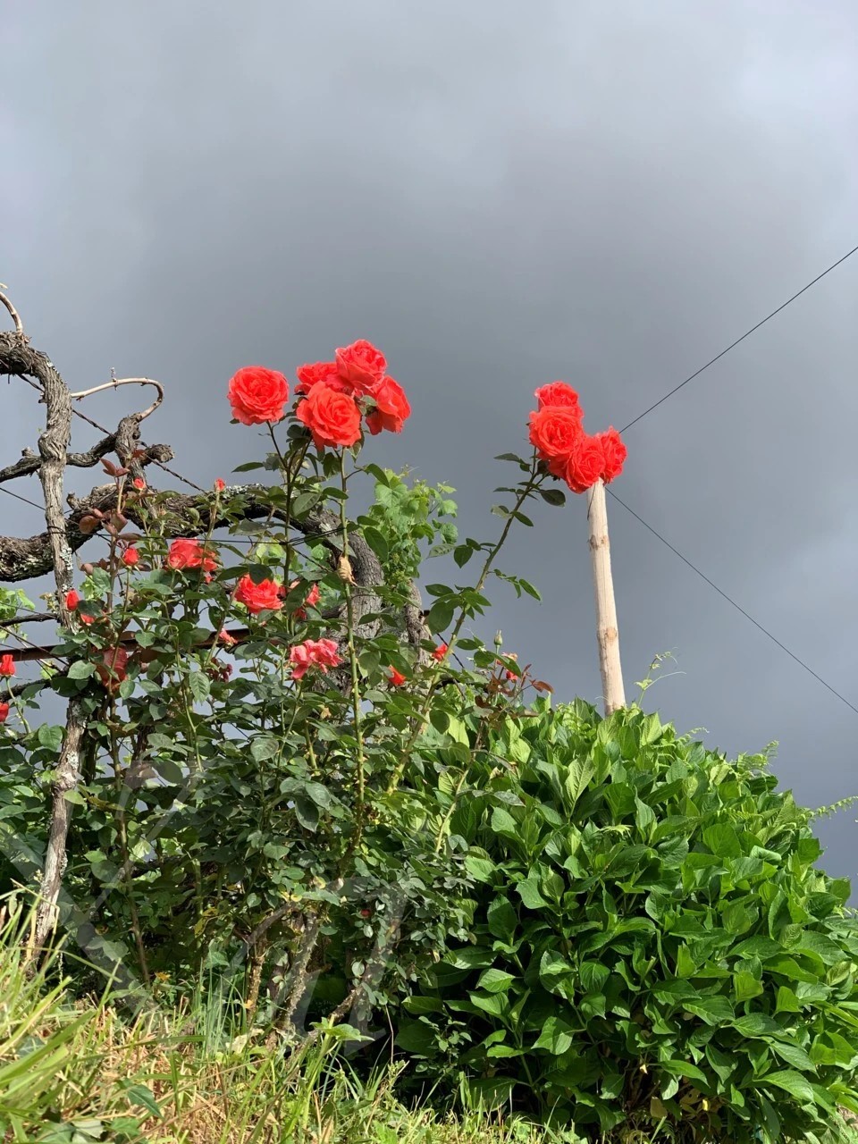 7_a56Ud018svc1bxbr86830fyx_wocx9r.png?type=e1920_std