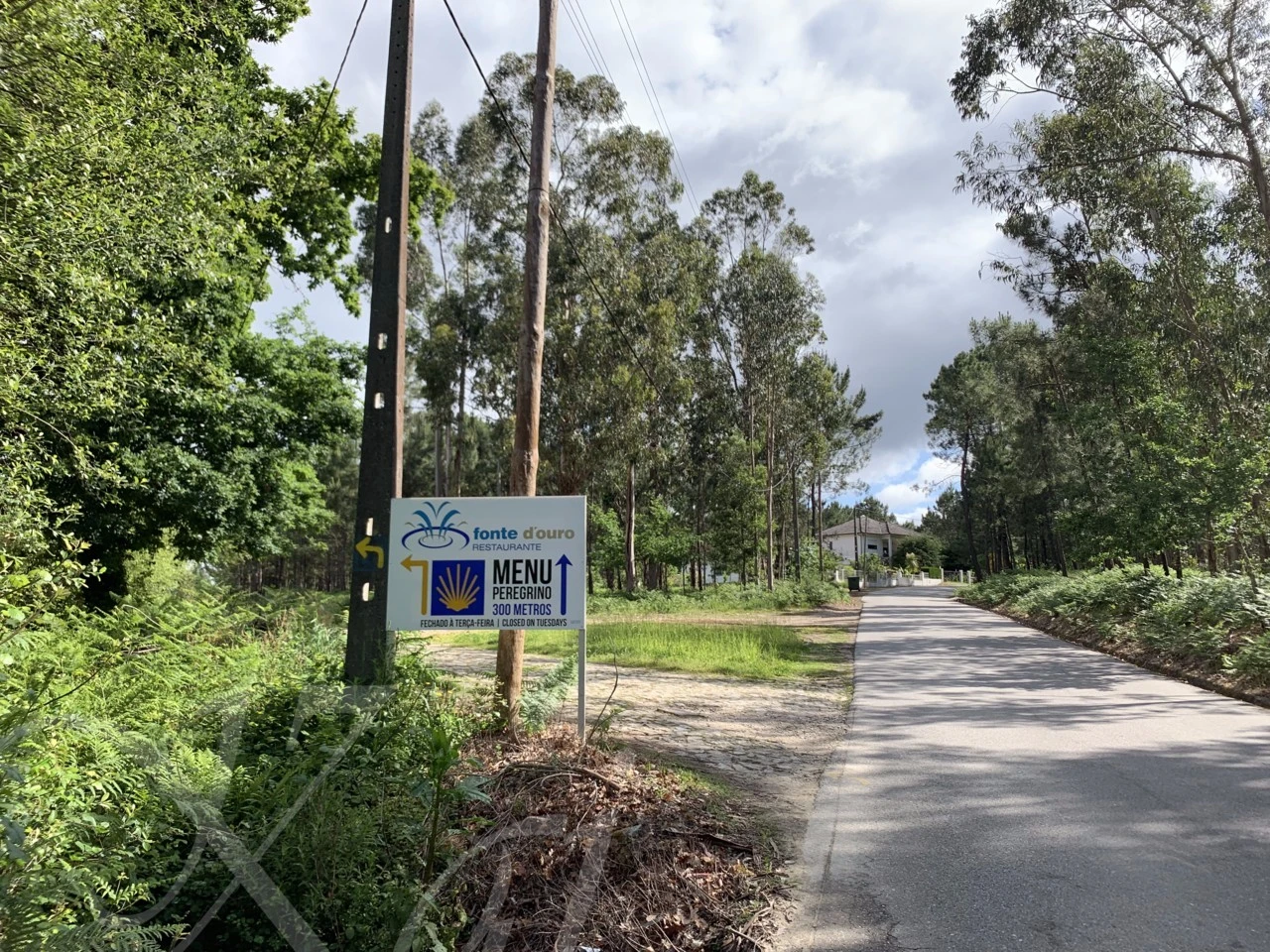 6_iefUd018svcblmoc6yxhc70_wocx9r.png?type=e1920_std