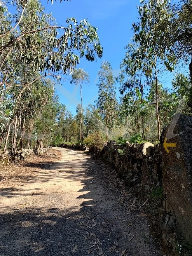 8_f65Ud018svc1kcbl91ug4ck5_wocx9r.jpg?type=e1920_std