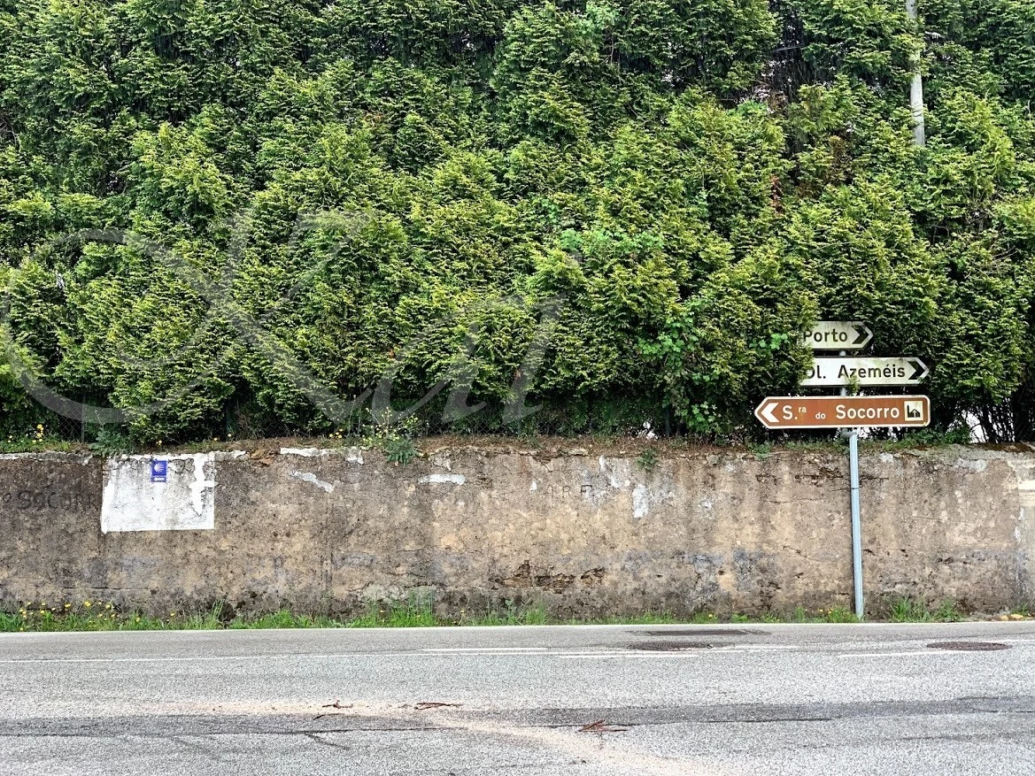 1_d36Ud018svcfkh4pe8xm3ip_wocx9r.jpg?type=e1920_std