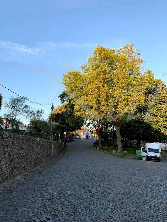 4_165Ud018svc1wzf5oord7f33_wocx9r.jpg?type=e1920_std