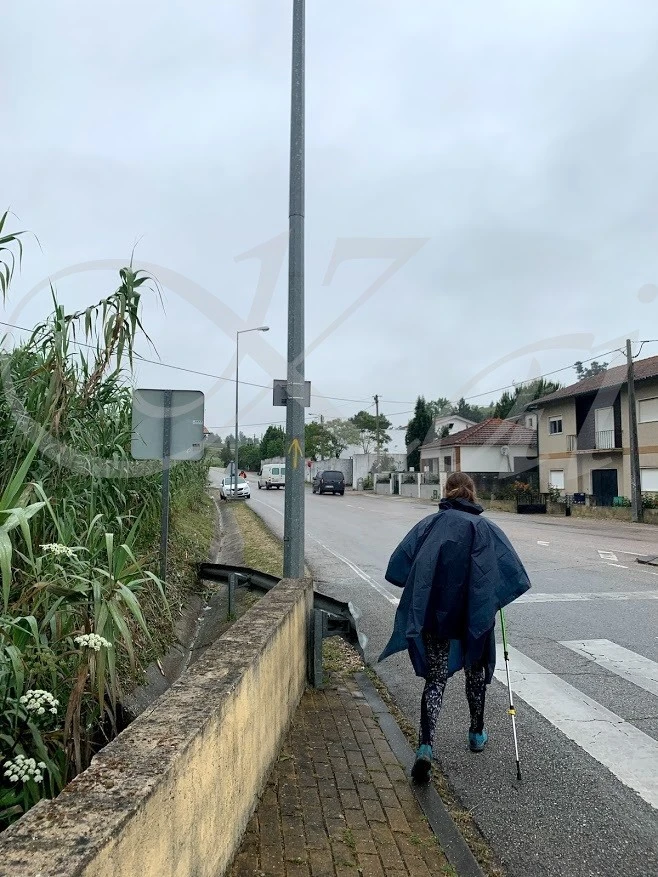 j_j8cUd018svcczrtftevy3il_wocx9r.jpg?type=e1920_std