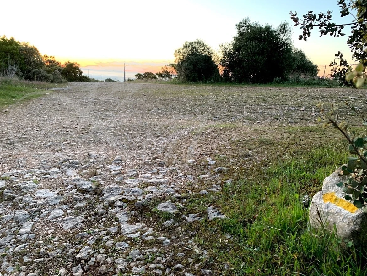 g_ai0Ud018svc1jpbrn9yc0x68_wocx9r.jpg?type=e1920_std