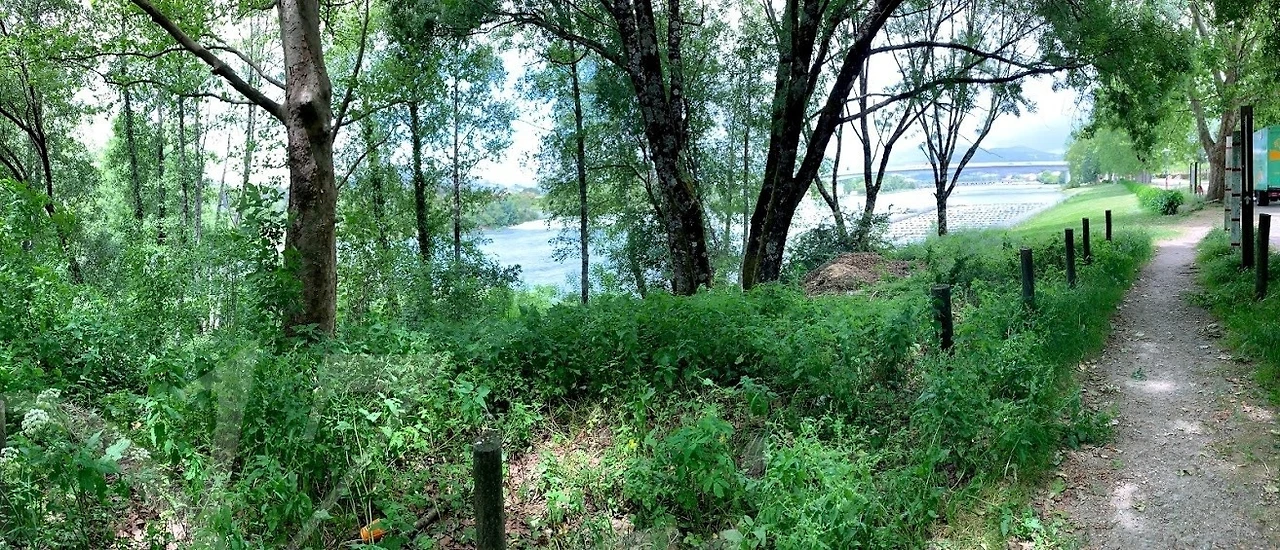 f_7daUd018svc1f1ua38qyohg2_wocx9r.jpg?type=e1920_std