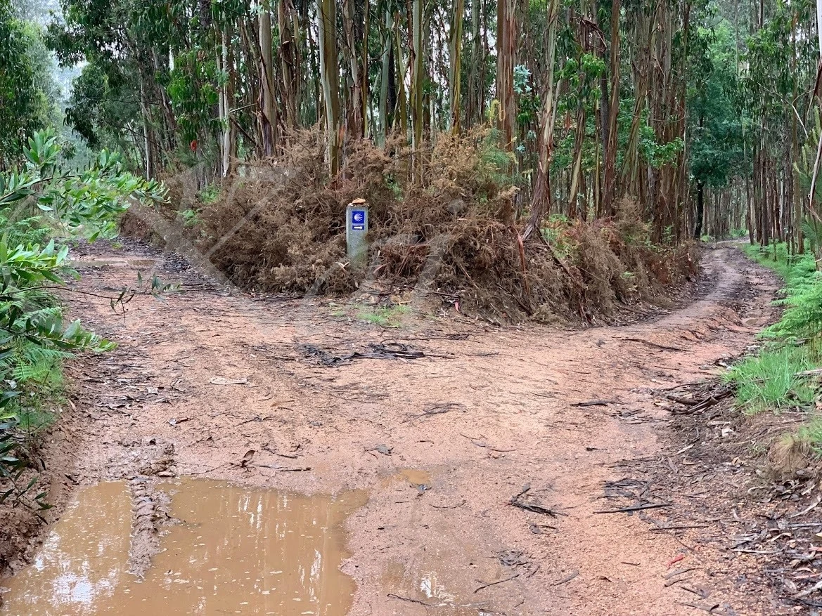 e_42dUd018svcw5sacnn8er5j_wocx9r.jpg?type=e1920_std