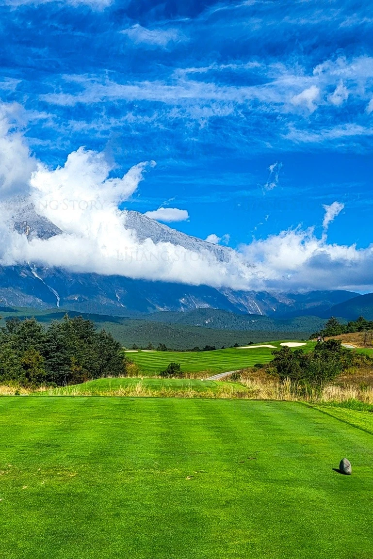 img.jpg?credential=yqXZFxpELC7KVnFOS48ylbz2pIh7yKj8&expires=1769871599&allow_ip=&allow_referer=&signature=UFcrJMwRx1dVQDVXn2eUG6%2BhnGc%3D