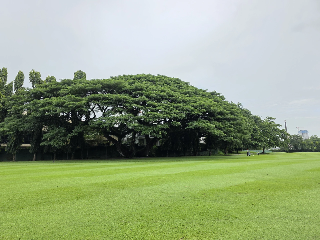 img.jpg?credential=yqXZFxpELC7KVnFOS48ylbz2pIh7yKj8&expires=1769871599&allow_ip=&allow_referer=&signature=FIuCb7c7fpfnkZE2FT2Dw%2BkBGe4%3D