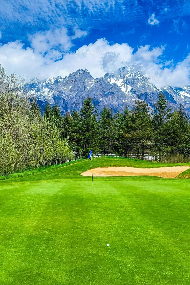 리장 옥룡설산골프장.jfif