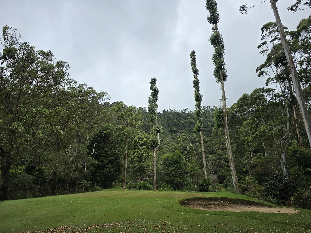 img.jpg?credential=yqXZFxpELC7KVnFOS48ylbz2pIh7yKj8&expires=1769871599&allow_ip=&allow_referer=&signature=otfnIEr9N5IDDPyrHEYqoJDRtRw%3D