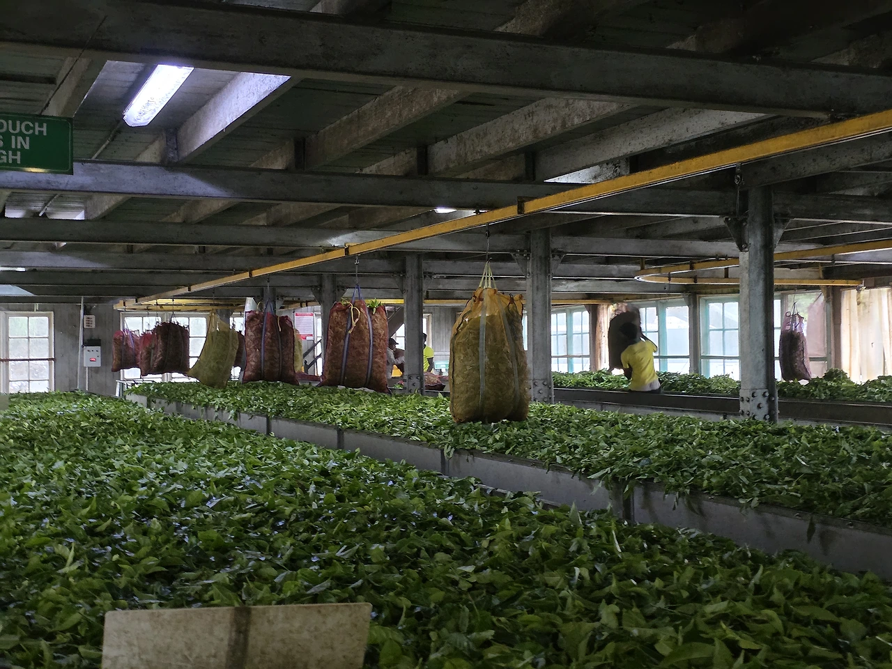 img.jpg?credential=yqXZFxpELC7KVnFOS48ylbz2pIh7yKj8&expires=1769871599&allow_ip=&allow_referer=&signature=6Ufgmif9rL3Ou9BOAPSlf1dLT6Q%3D