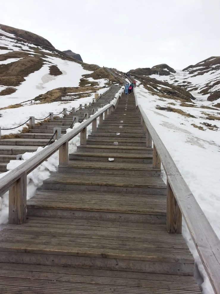 img.jpg?credential=yqXZFxpELC7KVnFOS48ylbz2pIh7yKj8&expires=1769871599&allow_ip=&allow_referer=&signature=MMlQf7D3ylEy1wFydAkAYJoeW9c%3D