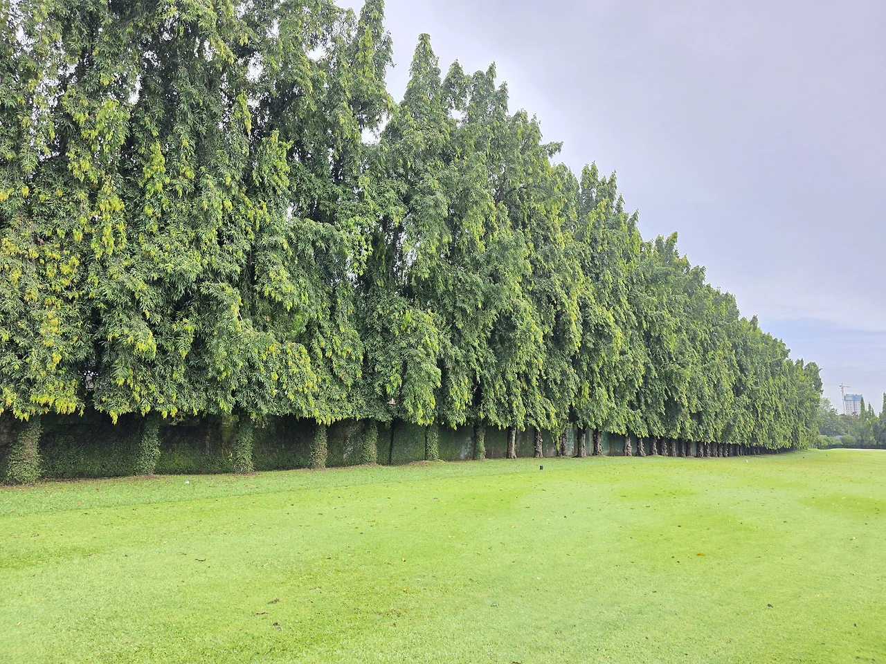 img.jpg?credential=yqXZFxpELC7KVnFOS48ylbz2pIh7yKj8&expires=1769871599&allow_ip=&allow_referer=&signature=rWLU3bDit62JkXLWKizEpK7W%2FtQ%3D