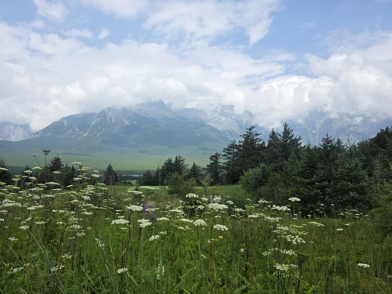 img.jpg?credential=yqXZFxpELC7KVnFOS48ylbz2pIh7yKj8&expires=1769871599&allow_ip=&allow_referer=&signature=6wIp73egKXmclDbCY%2Fz62bsshC4%3D