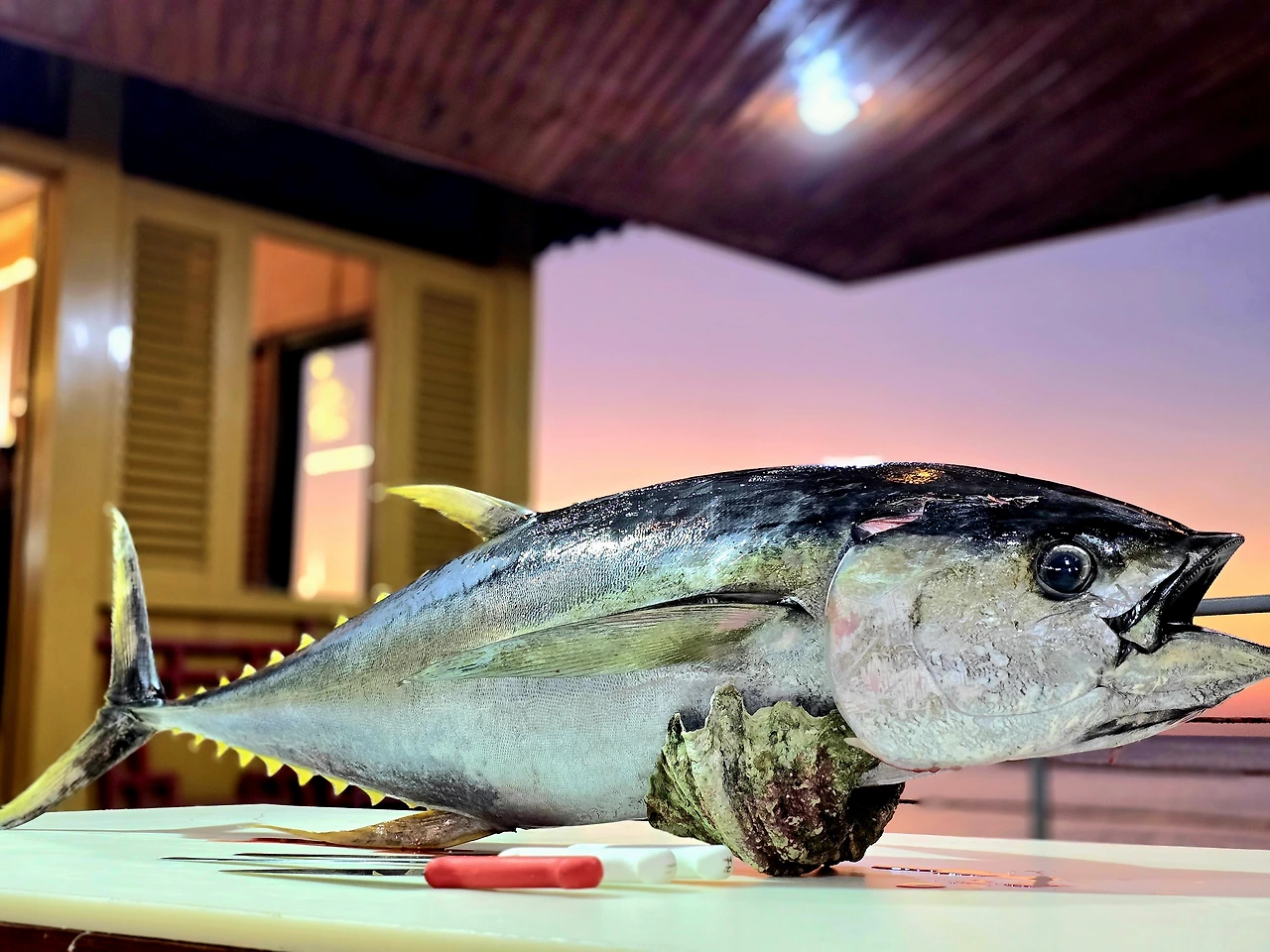 img.jpg?credential=yqXZFxpELC7KVnFOS48ylbz2pIh7yKj8&expires=1769871599&allow_ip=&allow_referer=&signature=ULLl2K8SV8KoJMZGtiIKDfMvWss%3D