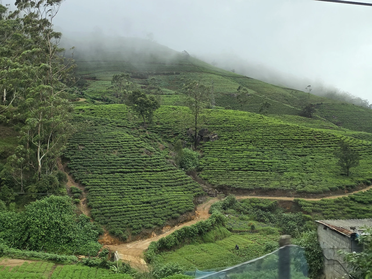 img.jpg?credential=yqXZFxpELC7KVnFOS48ylbz2pIh7yKj8&expires=1769871599&allow_ip=&allow_referer=&signature=mii0mtLyZEIp%2FW9CcxB9I0ITGHk%3D