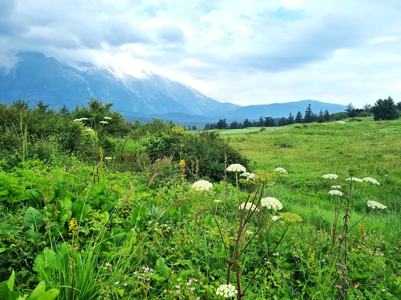 img.jpg?credential=yqXZFxpELC7KVnFOS48ylbz2pIh7yKj8&expires=1769871599&allow_ip=&allow_referer=&signature=yBRLtQc8mCMaskBm3rF0t%2BCpKz4%3D