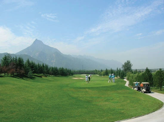 img.jpg?credential=yqXZFxpELC7KVnFOS48ylbz2pIh7yKj8&expires=1769871599&allow_ip=&allow_referer=&signature=4mQeJFGAEG7YtAJ4mn9hi4lMw54%3D