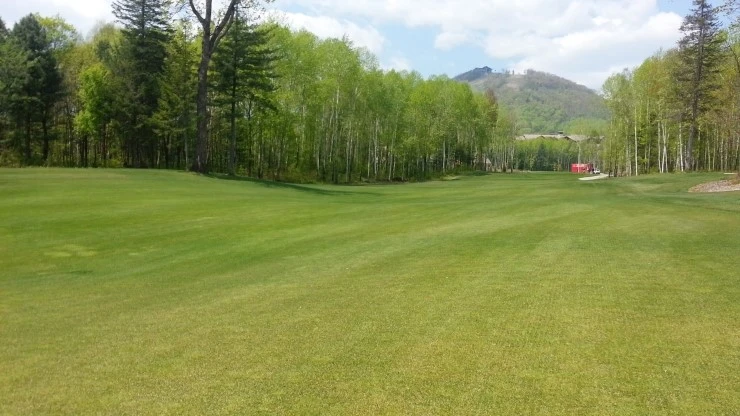 img.jpg?credential=yqXZFxpELC7KVnFOS48ylbz2pIh7yKj8&expires=1769871599&allow_ip=&allow_referer=&signature=iqc8ZzDK03svps%2FY%2FbukYcXOSCc%3D