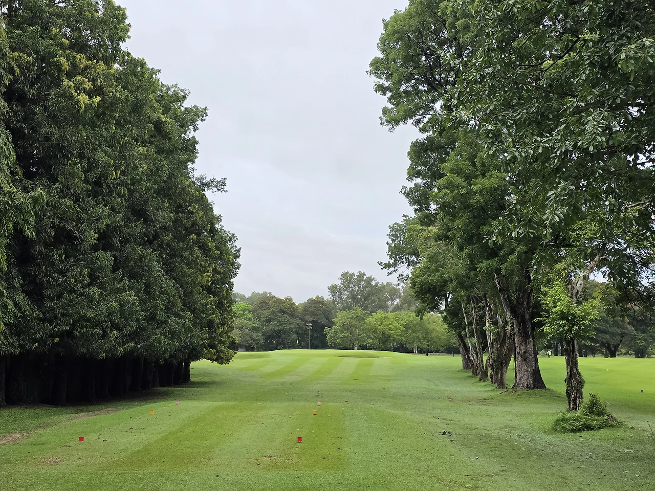 img.jpg?credential=yqXZFxpELC7KVnFOS48ylbz2pIh7yKj8&expires=1769871599&allow_ip=&allow_referer=&signature=yysBzHkB1fZpUx9Nns2qHdZavoU%3D