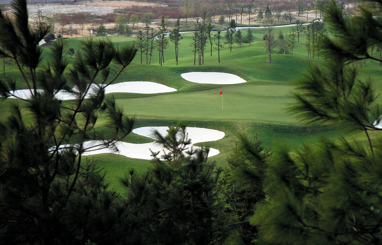 img.jpg?credential=yqXZFxpELC7KVnFOS48ylbz2pIh7yKj8&expires=1769871599&allow_ip=&allow_referer=&signature=sdhAXQnvyHnrVGrUfXGQi26fG%2F0%3D