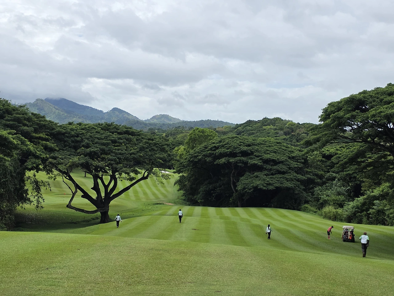 img.jpg?credential=yqXZFxpELC7KVnFOS48ylbz2pIh7yKj8&expires=1769871599&allow_ip=&allow_referer=&signature=Ao7HyaxYfQSZXvL%2BKPoZpnNsjvE%3D