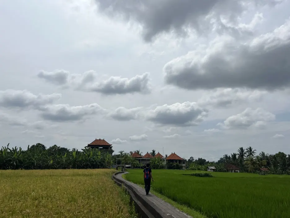 IMG_1125.jpg?type=w1