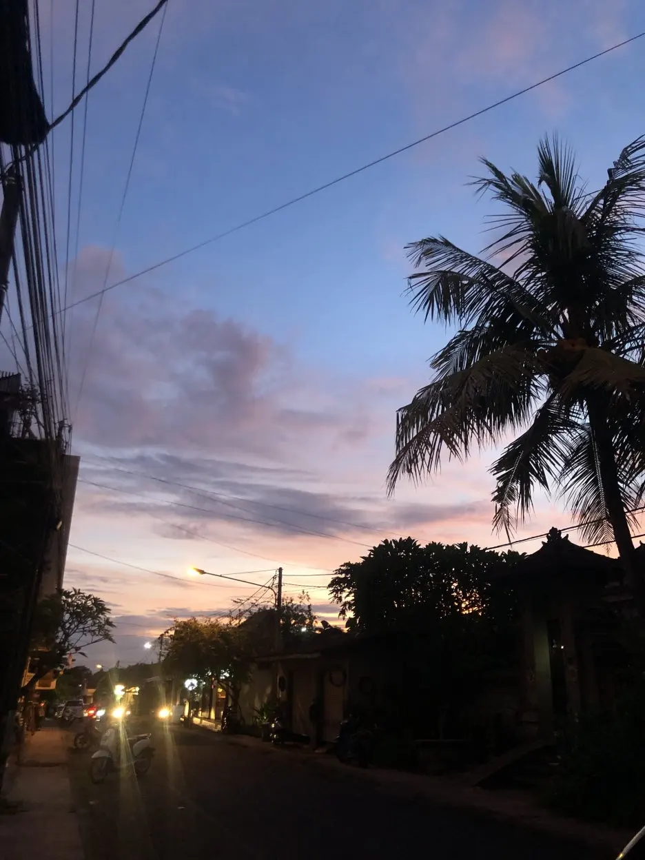 IMG_4492.JPG?type=w1