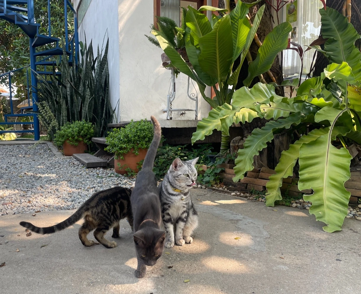 KakaoTalk_Photo_2025-03-17-19-42-24 004.jpeg