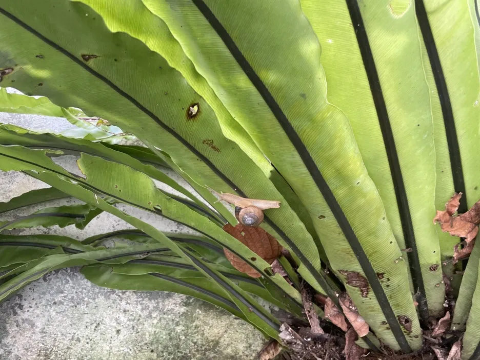 IMG_4197.jpg?type=w1