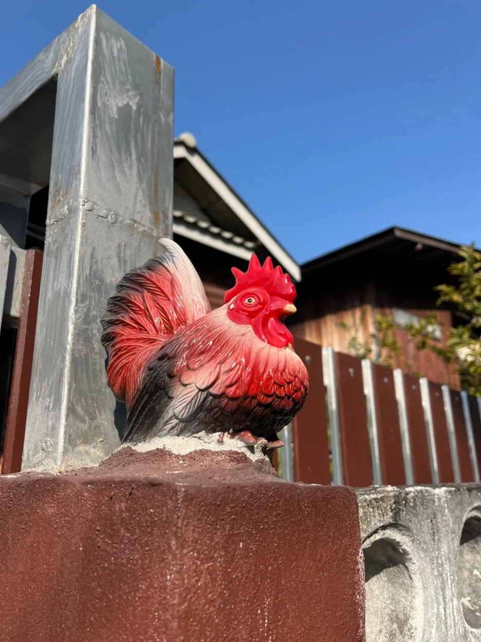 IMG_0029_2.JPG?type=w1