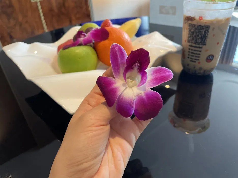 IMG_0547.jpg?type=w1