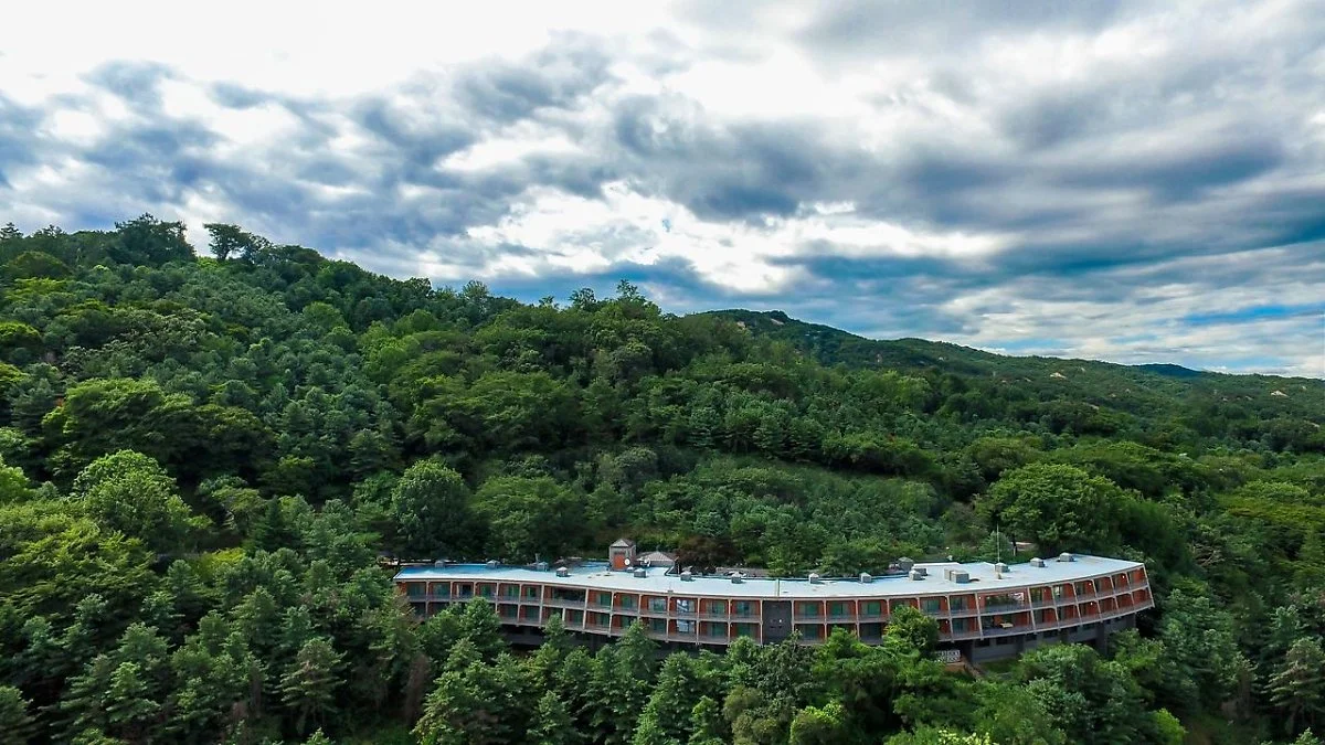 %EC%9B%8C%EC%BB%A4%ED%9E%90_%EB%8D%94%EA%B8%80%EB%9D%BC%EC%8A%A4_%ED%95%98%EC%9A%B0%EC%8A%A45.jpg?type=w1200