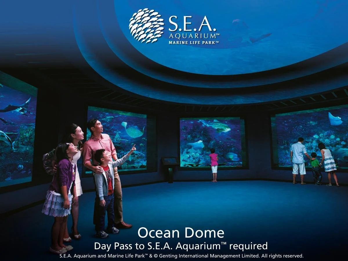 18278093.jpg?type=w1200