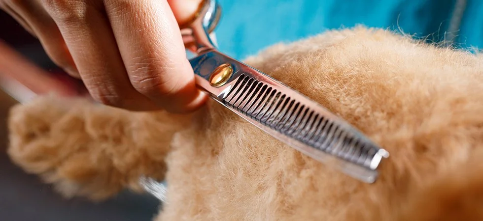 %ED%8E%AB%EB%B7%B0%ED%8B%B0.jpg?type=w1200