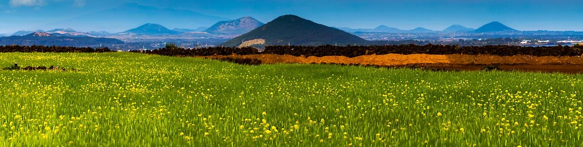 GettyImages-1208990318.jpg?type=w1200