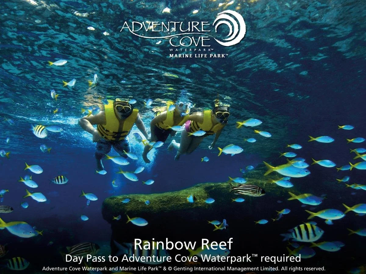 18277658.jpg?type=w1200