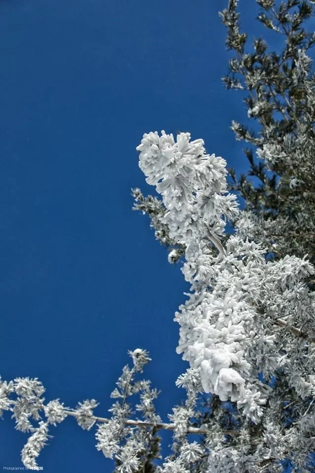 Balwangsan_Mountain.jpg?type=w1200