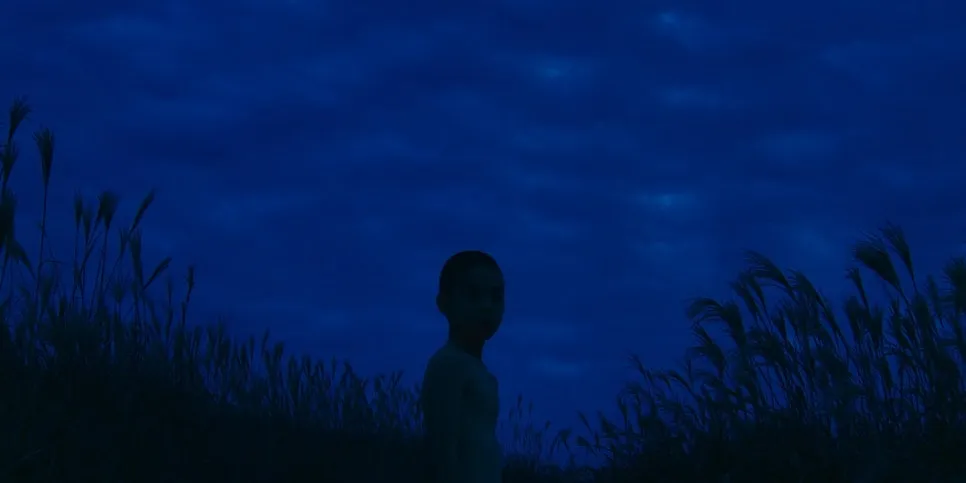 common_(1).jpg?type=w966