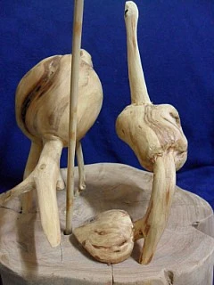 SAM_1032.JPG?type=w2