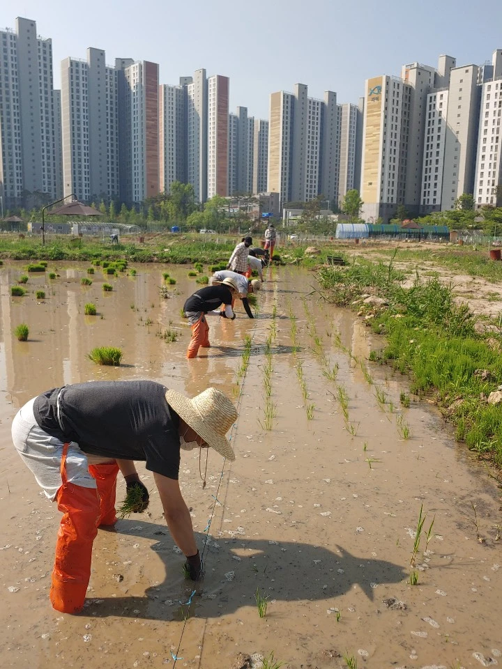 1590995099741.jpg?type=w1